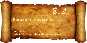 Benesch Levente névjegykártya